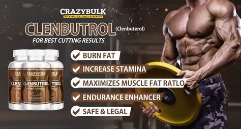 clenbuterol results female|And how YOU get Fast Clenbuterol Results .